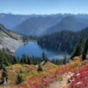 Meet your Posher, Colleen